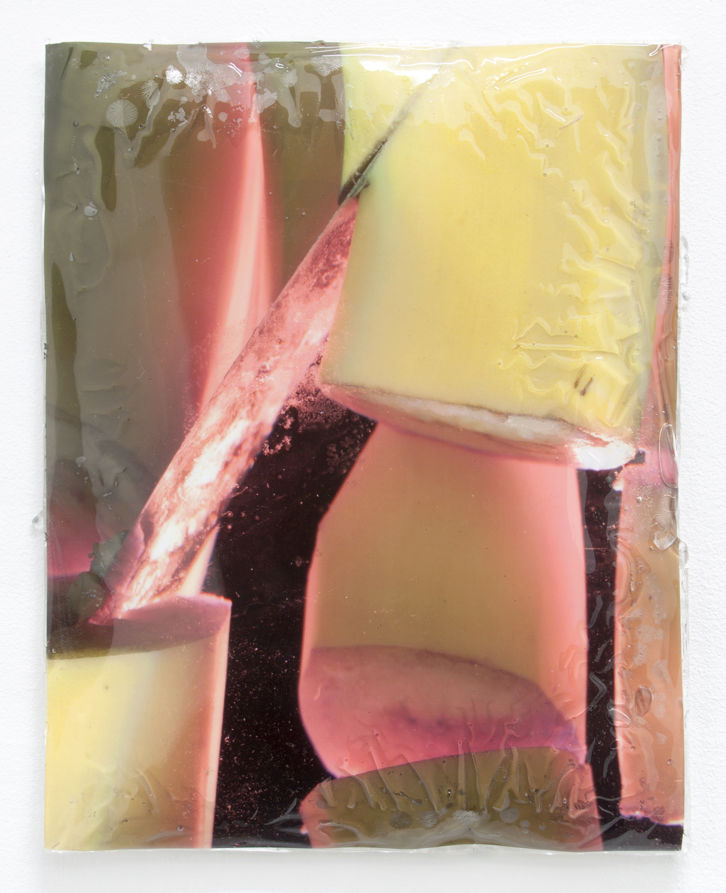 Lucie Stahl, Bananas, 2014 (courtesy of Queer Thoughts, New York)